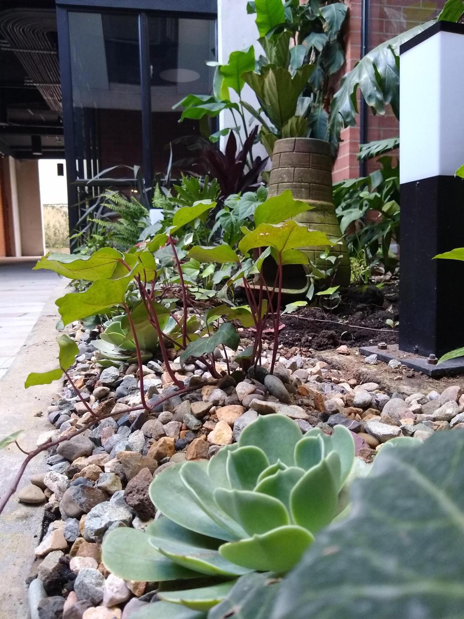 Apartment Downtown, Blue Home, Nature Inspired Bogotá