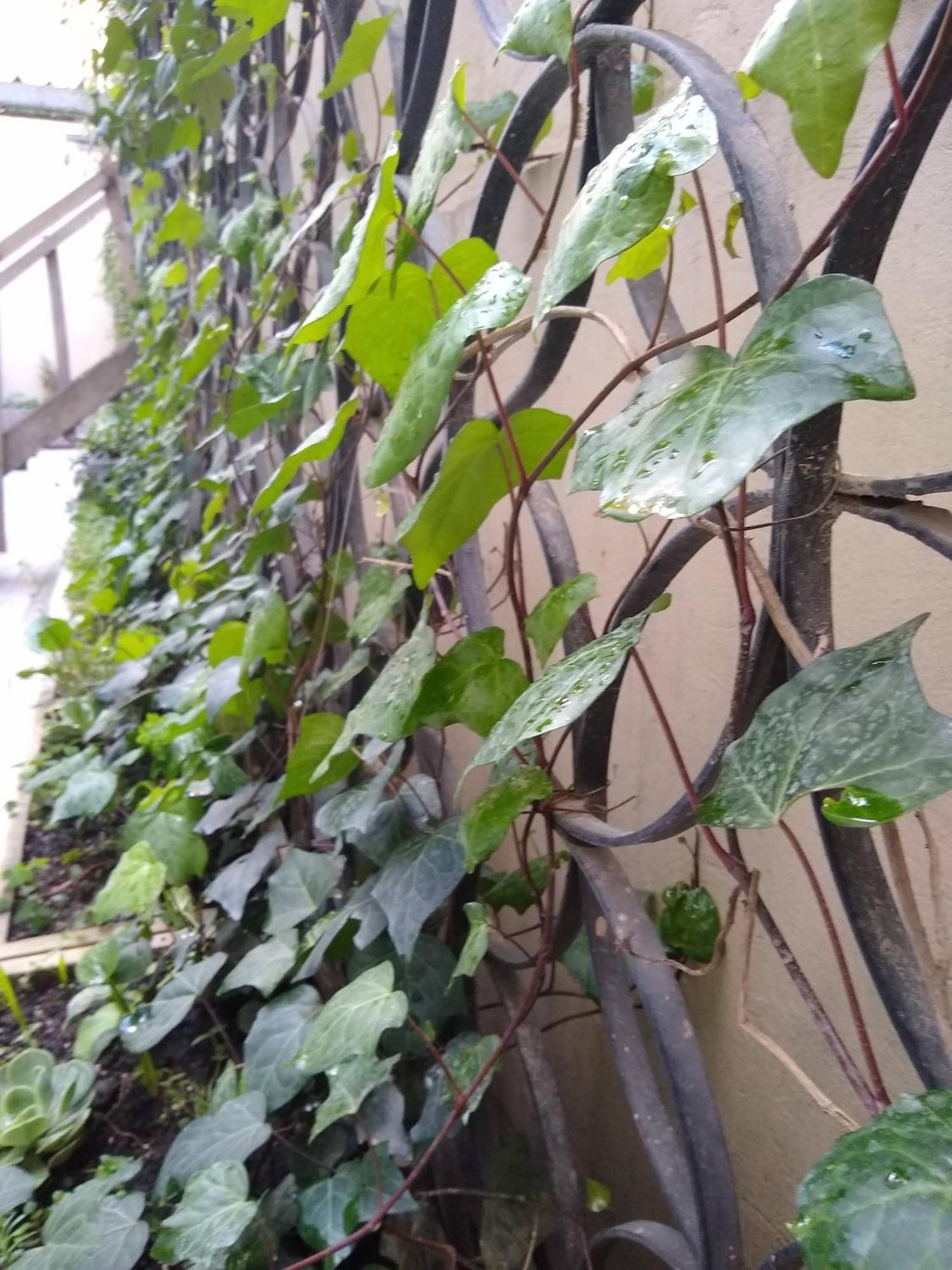 Downtown, Blue Home, Nature Inspired Apartment Bogotá